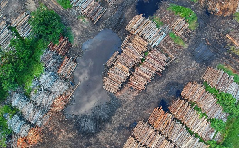 EU members demand increased action on 2020 UN deforestation goal