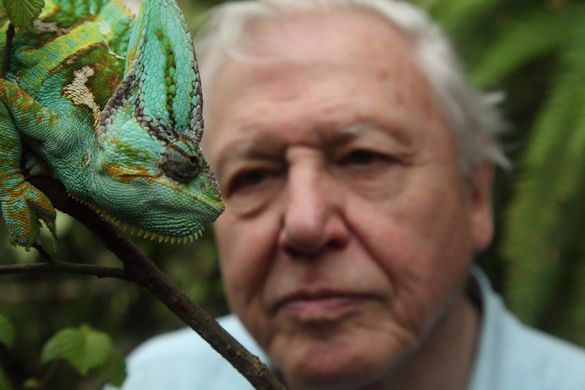 Sir David Attenborough: “Our greatest threat in thousands of years: Climate Change”